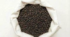 Premium Black Pepper GL-550 – Export Quality Malabar Black Pepper from Kerala, India - Image 2